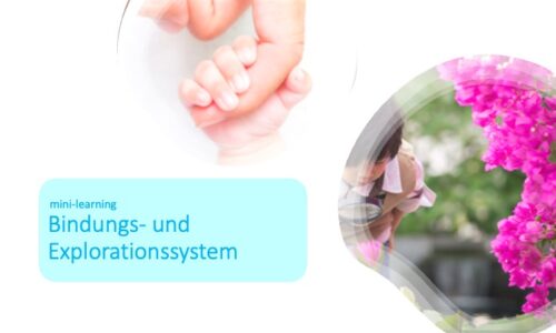 Kursvorschaubild
