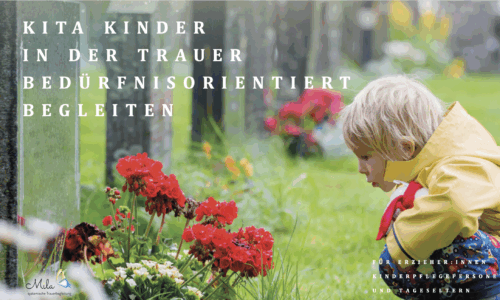 Kursvorschaubild