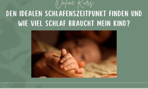 Kursvorschaubild